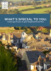 What's Special To You: Landscape Issues In Your Neighbourhood Plan