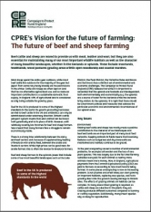 CPRE's Vision for the future of farming: Beef and sheep farming