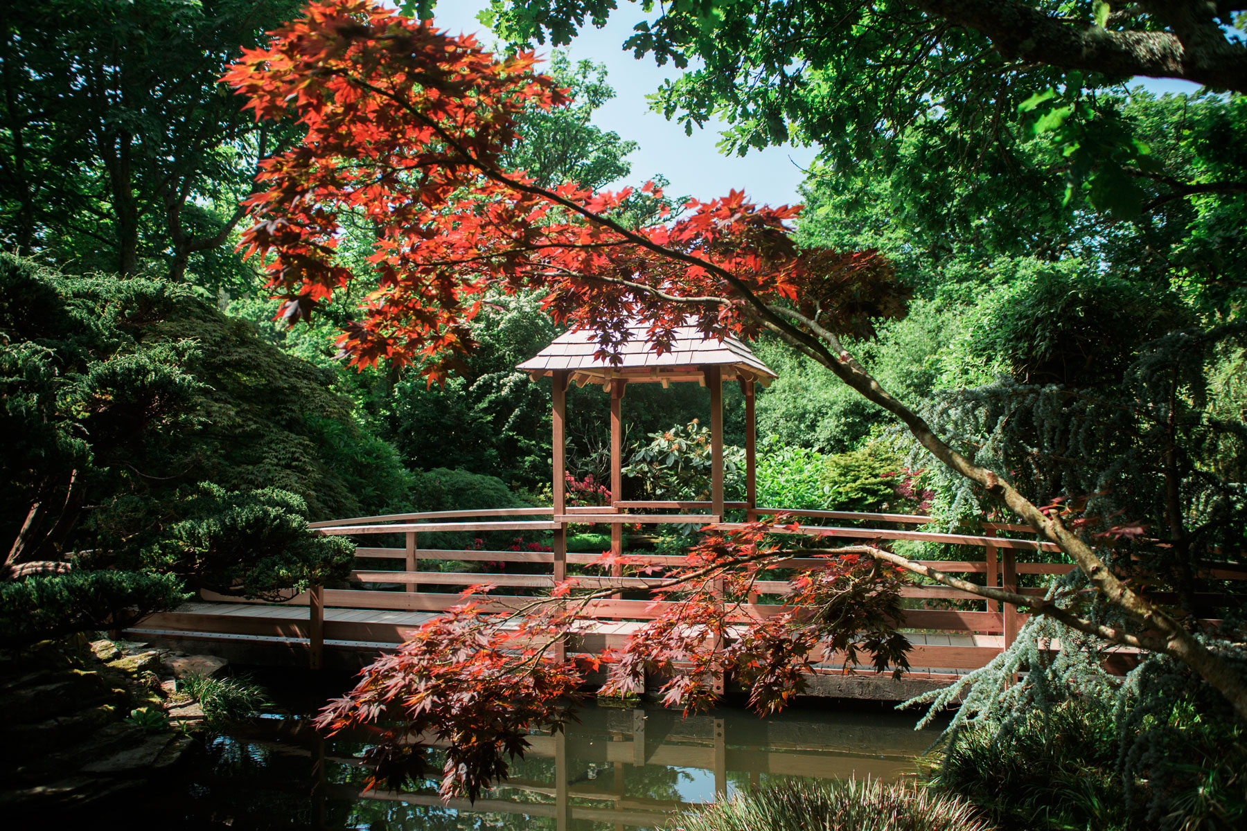 Japanese Garden 8 