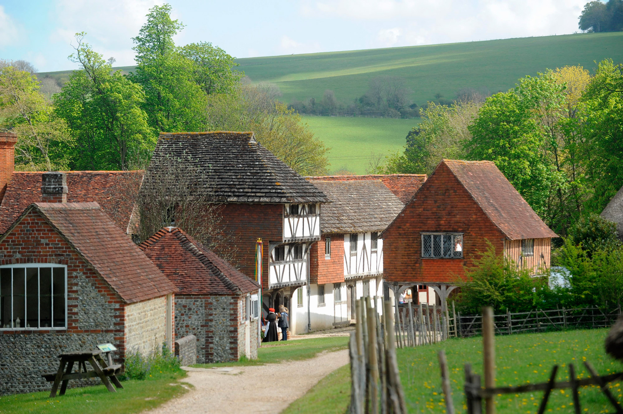 Weald and Downland 10