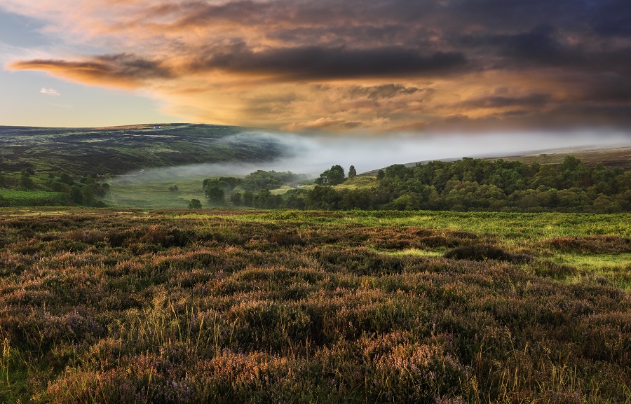 North Yorkshire Moors Goathland mist