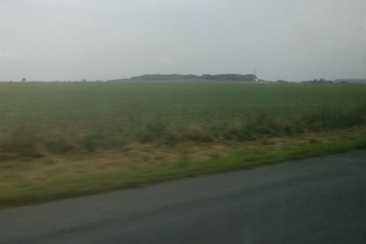 Field in Czech Republic
