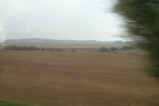 Field in Czech Republic