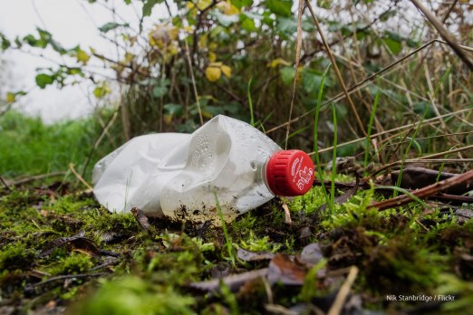 Plastic bottle in the woods
