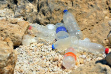 plastic bottle beach litter copyright maudanros Shutterstock 223x149px
