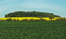 Nottingham's Green Belt is one of many increasingly under threat