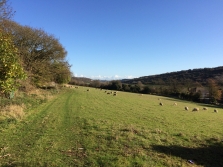 Farthingloe Valley, Kent Downs Area of Outstanding Natural Beauty