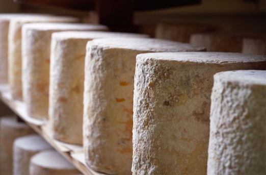 Farmhouse cheese – going back to the future