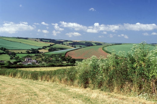 Hope for England’s hedgerows?