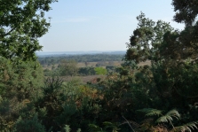 Chobham Common's tranquillity makes it a vital habitat