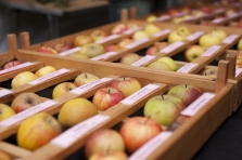 A huge variety of tasty English apples can be found at farmers' markets like Ely's 