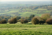 More than a quarter of a million houses now planned for Green Belt land