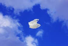 Public behind plastic bag charge as support for anti-litter measure increases