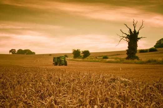 The future of agricultural policy is in our hands
