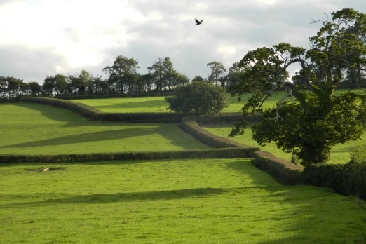 Fields surrounding East Coker, the village made famous by T.S. Eliot